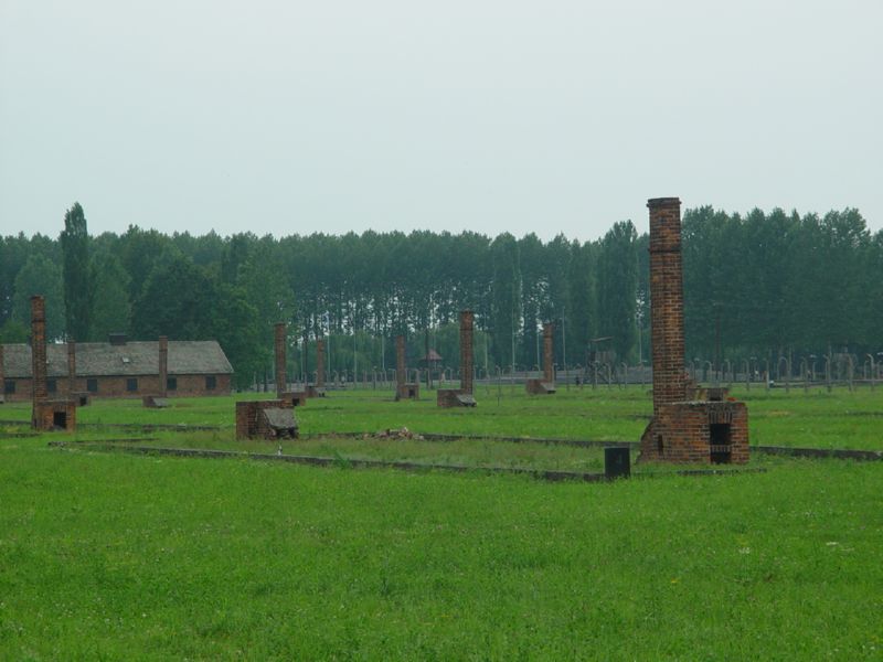 Birkenauk Chimneys